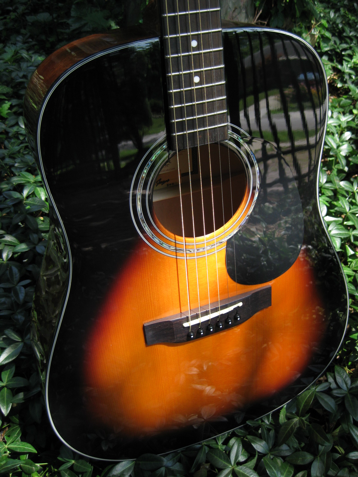 zad20sunburst